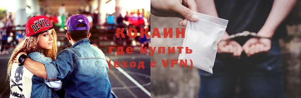 шишки Богородицк