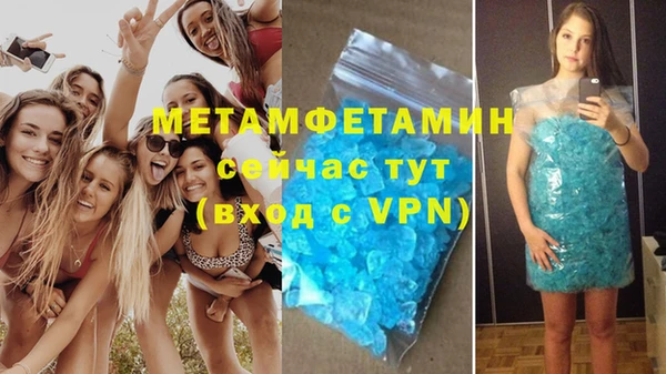 шишки Богородицк