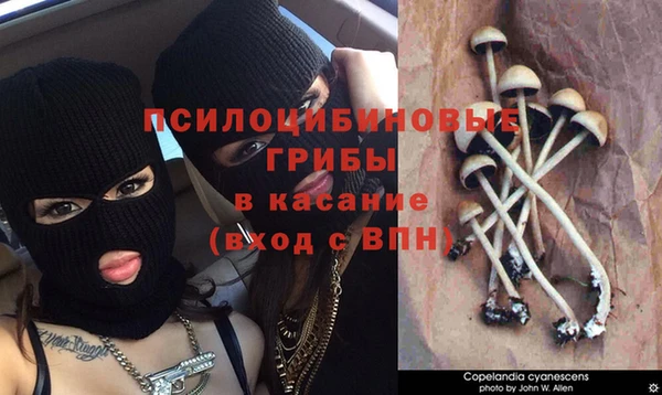 дурь Бугульма
