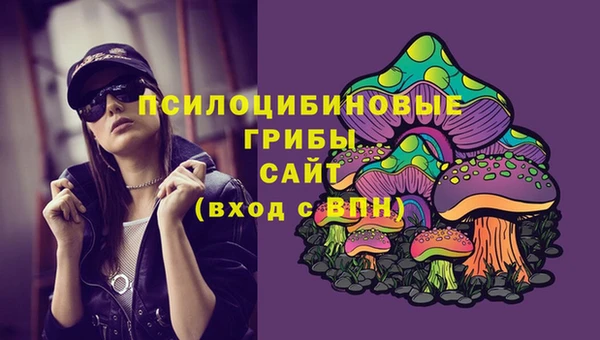 спиды Бронницы
