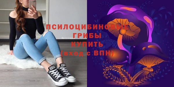 соль курить ск Богданович