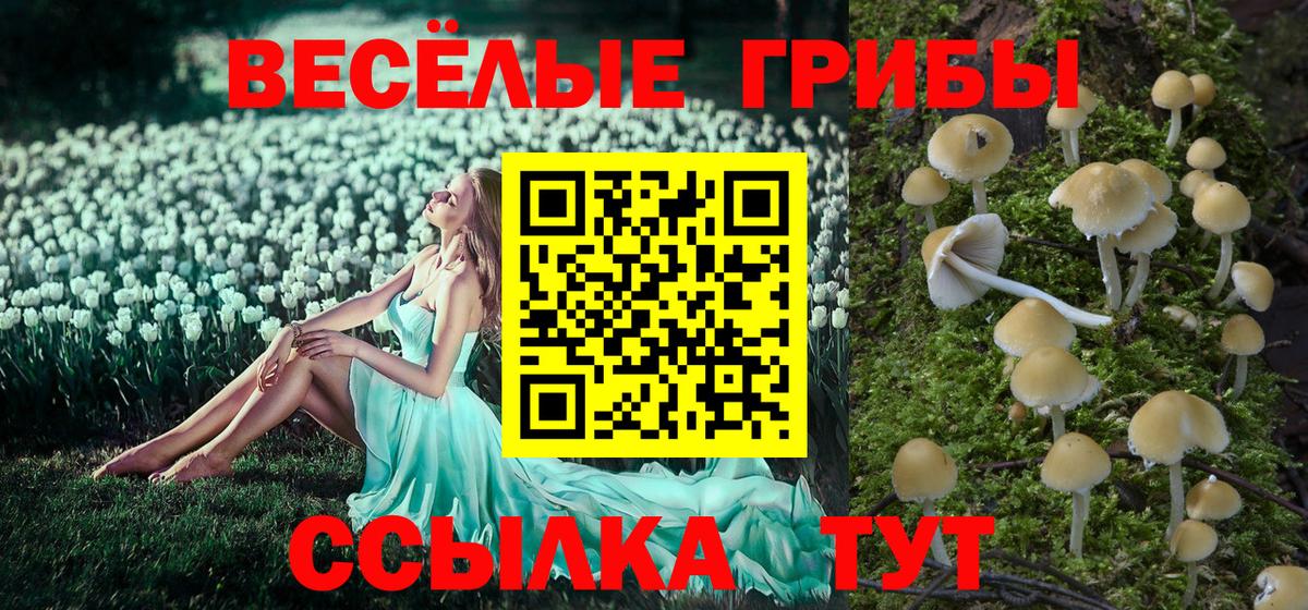 Псилоцибиновые грибы Cubensis  Вход с VPN  Нерюнгри 